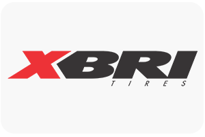 XBRI